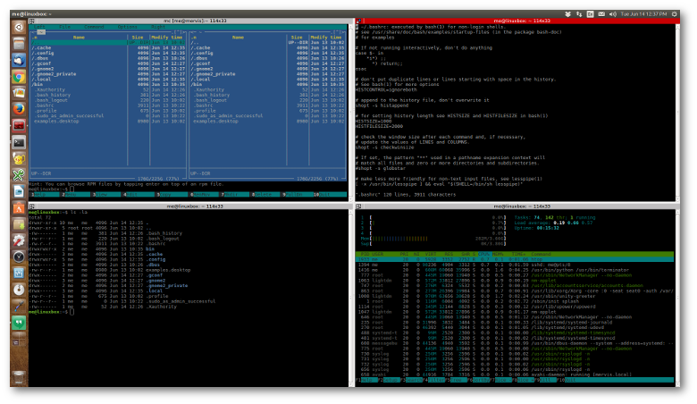 Full screen terminator window with multiple panes