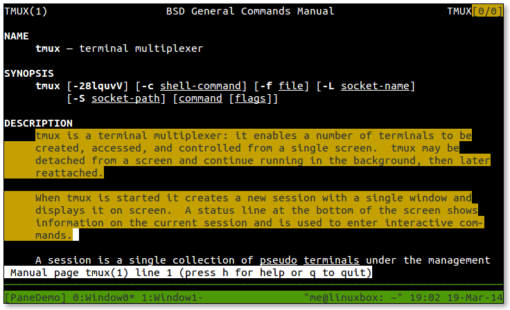 syncterm scrollback buffer